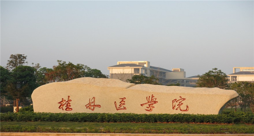 图书情报专业硕士和信息管理与信息系统本科到桂林市科学技术情报研究所开展专业实践活动