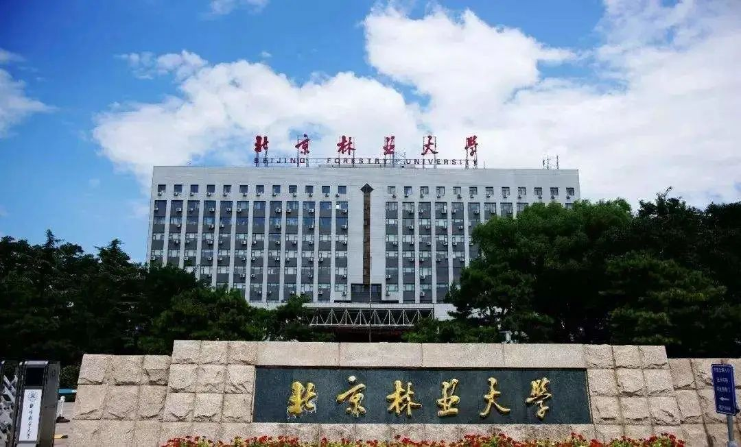 北京林业大学2025年硕士研究生招生复试录取工作办法