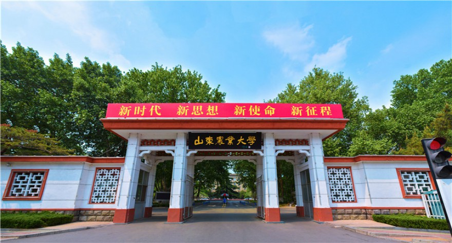 关于同等学力考生报考山东农业大学2025年硕士研究生的公告