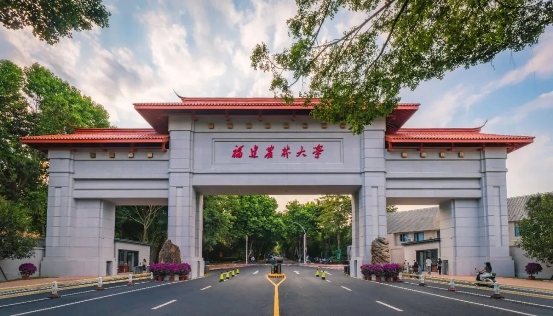 福建农林大学经济与管理学院2025年硕士招生调剂公告（第五批次）