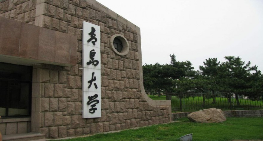 青岛大学电子信息学院2025年硕士研究生招生调剂公告及复试通知