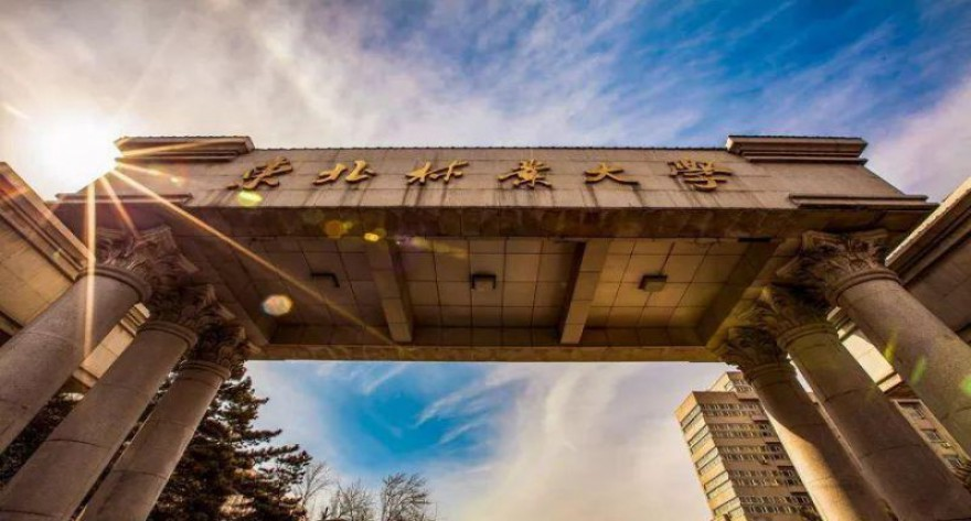 东北林业大学2025年硕士研究生招生热点问题解答