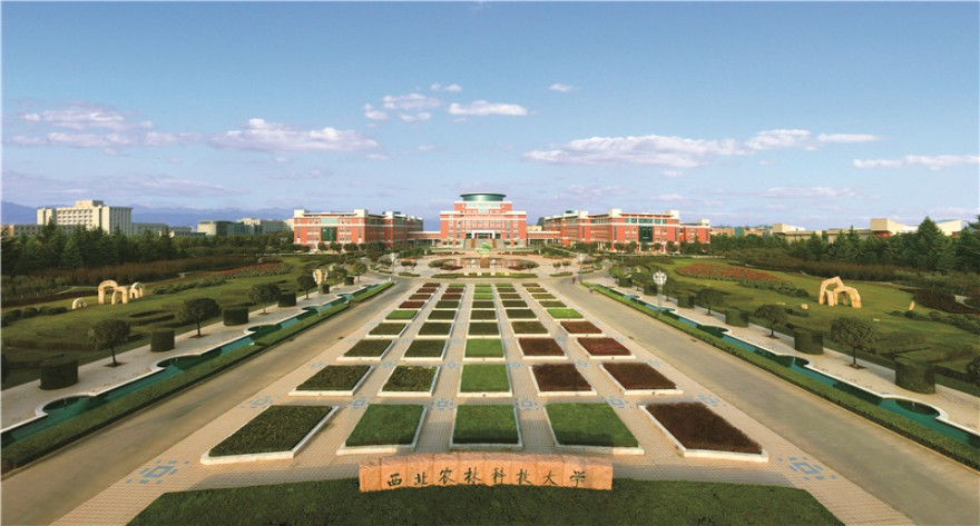 西北农林科技大学2025年非全日制MBA调剂考生复试工作安排