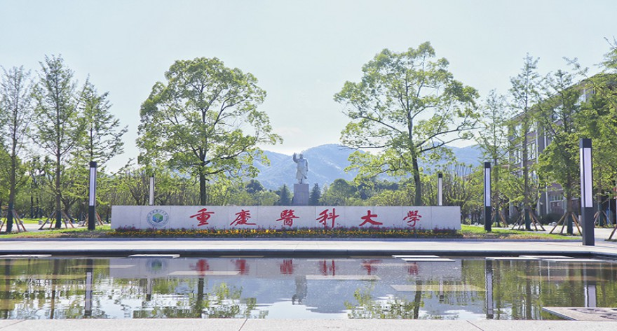 重庆医科大学2025年硕士研究生复试基本分数线发布