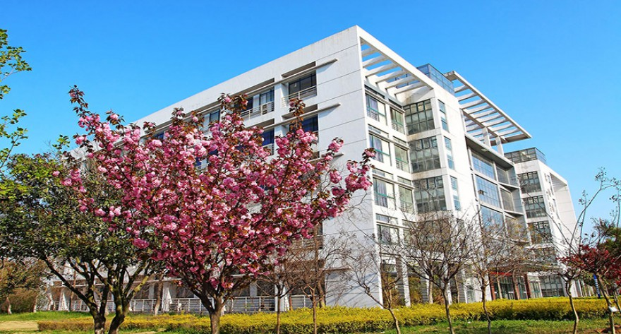 安徽财经大学2025年硕士研究生招生考试初试科目调整通知