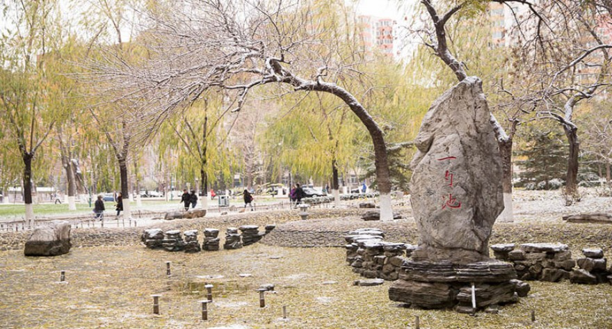 关于 2025 级研究生新生先修课程学习的通知