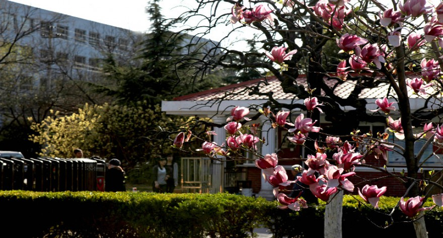 金秋迎萌新，逐梦启新程 —— 中国劳动关系学院 2025 级新生入学季纪实